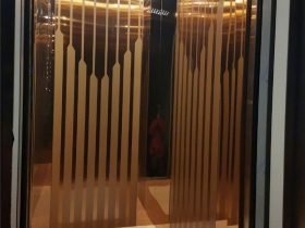 重庆阳光城4-18家用电梯